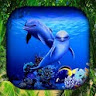 Dolphin Wallpaper Live HD/3D icon