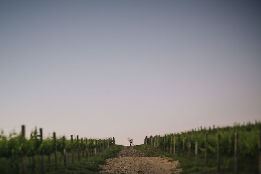 Wedding photographer Torin Zanette (torinzanette). Photo of 1 June 2017