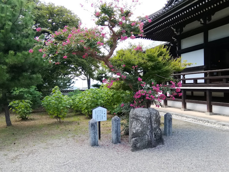 フーガの橘寺後編・奈良県明日香村・厩戸皇子(うまやどのみこ)に関するカスタム事例の投稿画像10枚目