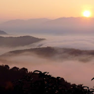 埔里 蘇媽媽湯圓