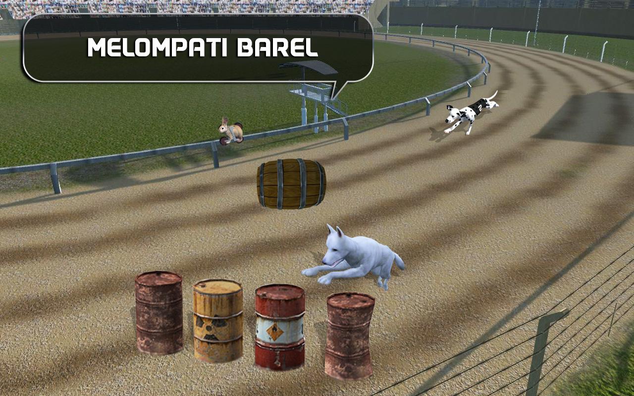 Gila Dog Racing Apl Android Di Google Play