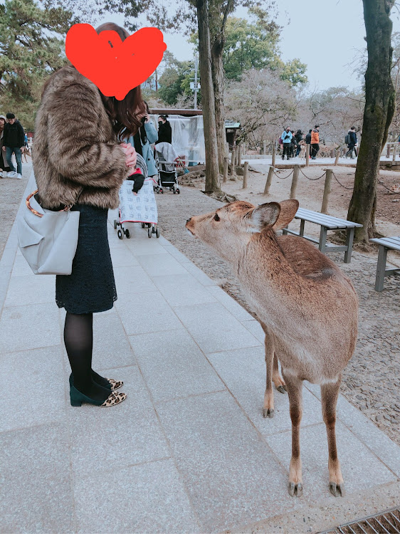 の投稿画像3枚目