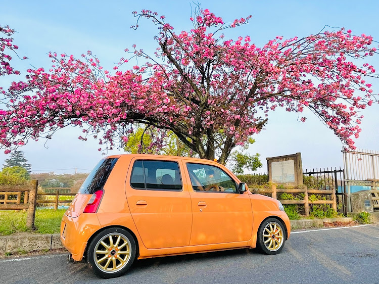 エッセの八重桜・桜と愛車・ソメイヨシノ・ENEOS・アリス米への道に関するカスタム事例の投稿画像8枚目