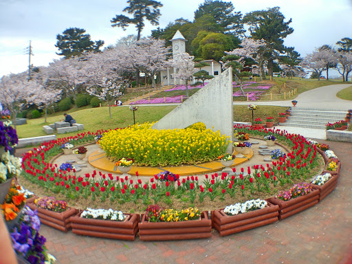 花時計