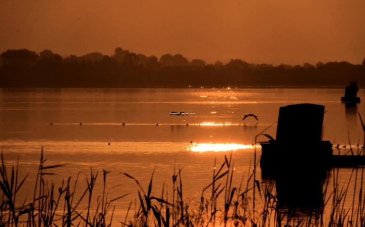 L'oro del  mattino di shrdn