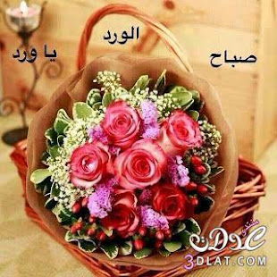 صباح و مساء الخير متحركة 2019 GIF ‎(圖1)-速報App