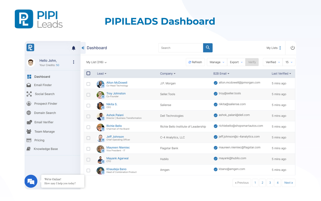 Email Finder – PIPILEADS Preview image 7