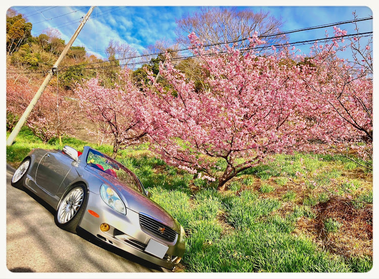 ソアラの道の駅 グリーンファーム館山・佐久間ダム・道の駅  和田浦WA・O！・河津桜・南房総に関するカスタム事例の投稿画像4枚目