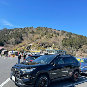 RAV4 MXAA54