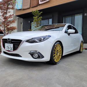 アクセラスポーツ BM2FS