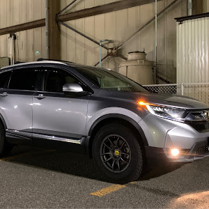 CR-V RW2