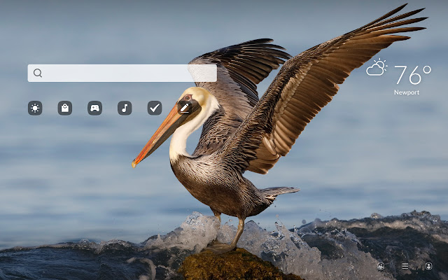 Pelican HD Wallpapers New Tab