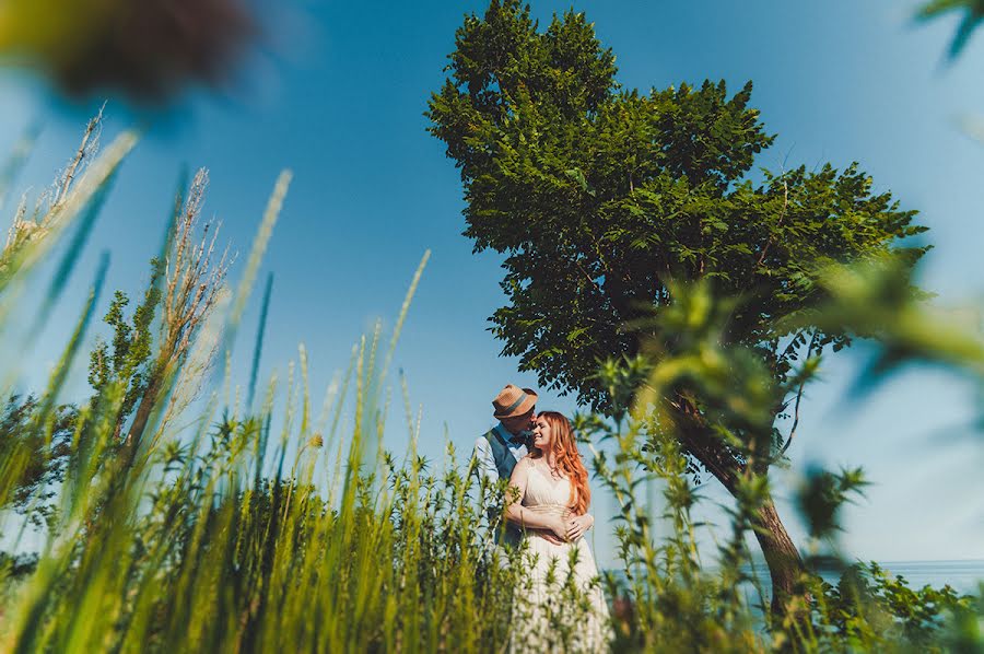 Fotografo di matrimoni Dmitriy Vasilenko (dmvasilenko). Foto del 10 giugno 2015