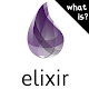 Download What is Elixir Programming For PC Windows and Mac