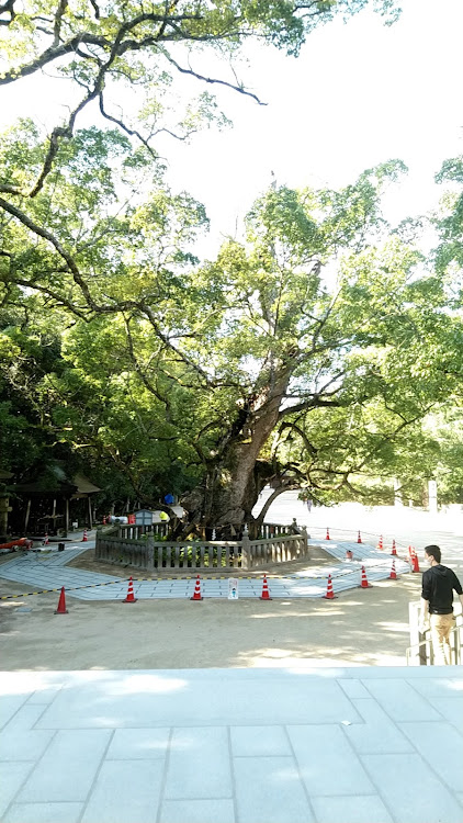 真一さんが投稿した下灘駅・大山祇神社に関するカスタム事例の投稿画像13枚目