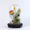 miniatures image - 1