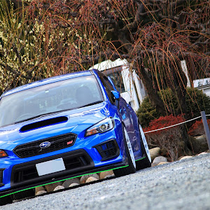 WRX STI VAB