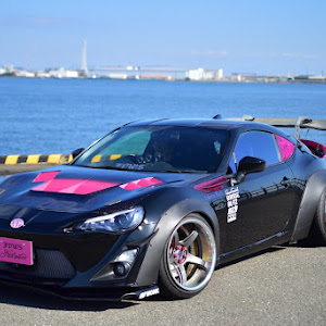 86 ZN6