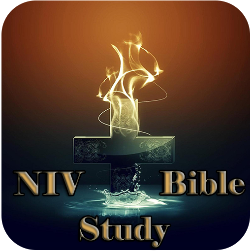 NIV Bible Study