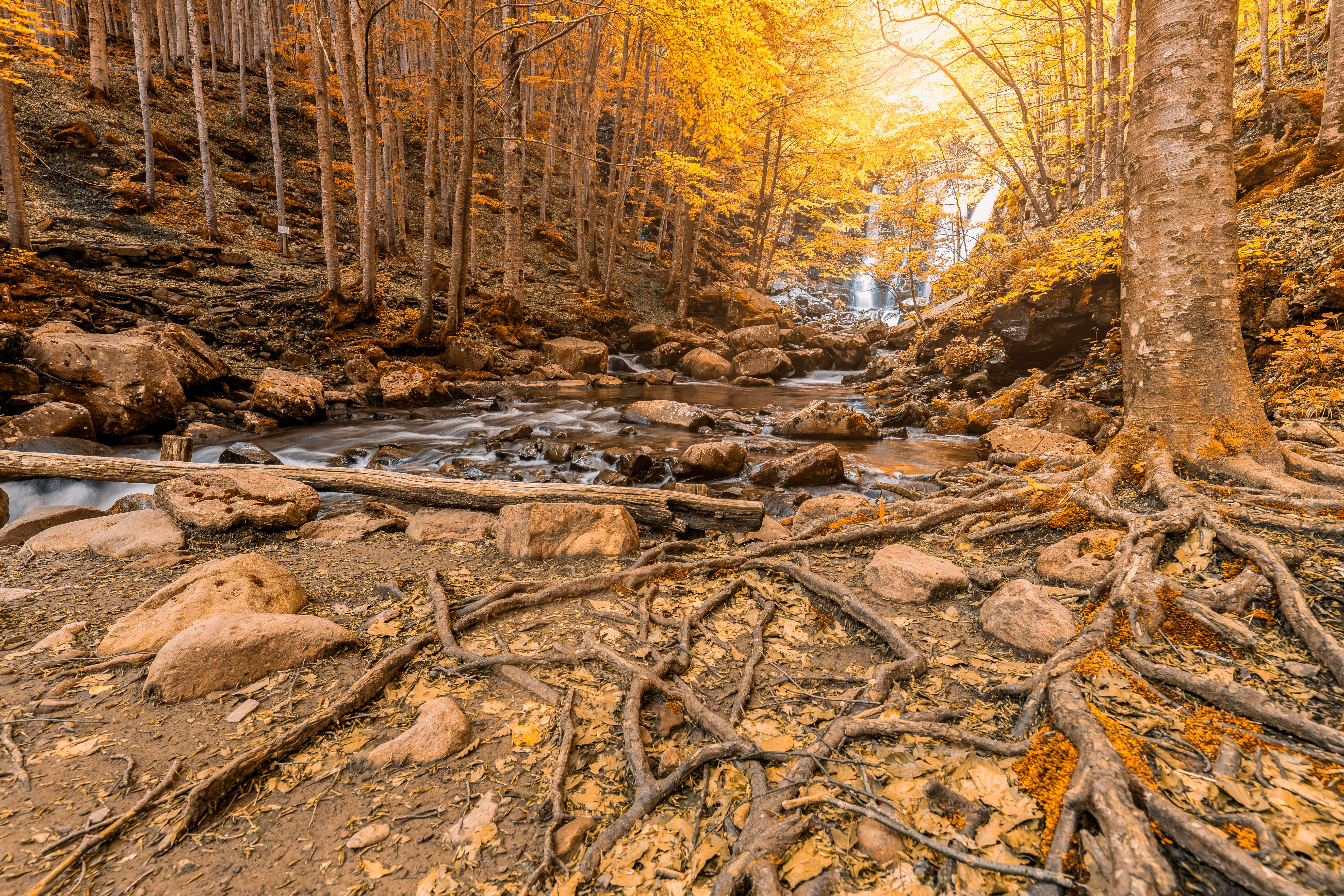 cascate d'autunno di salvolaverde