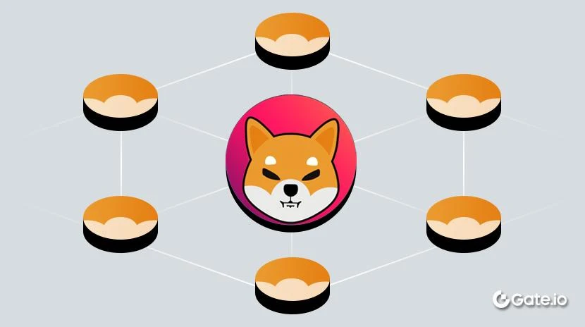 Key Features of the Shibarium Blockchain Website