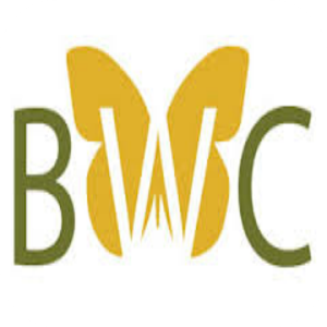 Butterfly Wealth Creation logo
