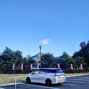 ウィッシュ ZGE22W