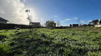 terrain à Plobannalec-Lesconil (29)