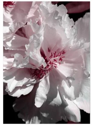 images slider number - 3