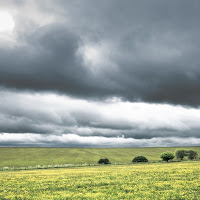 Sta arrivando la tempesta di 