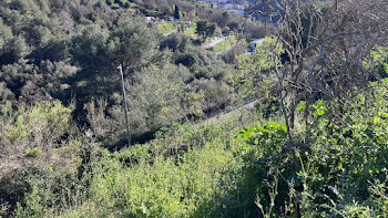 terrain à Cagnes-sur-Mer (06)