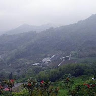 雲瀑谷咖啡館