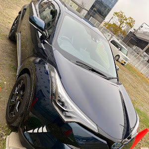 C-HR ZYX10