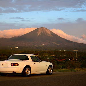 ロードスター NA8C