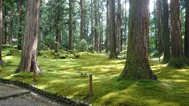 シャトルの福井観光②・恐竜博物館は事前予約必要です・越前大仏・勝山城・夢助に関するカスタム事例の投稿画像22枚目