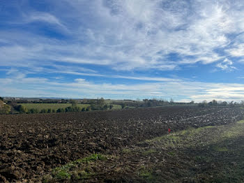 terrain à Villefranche-de-Lauragais (31)