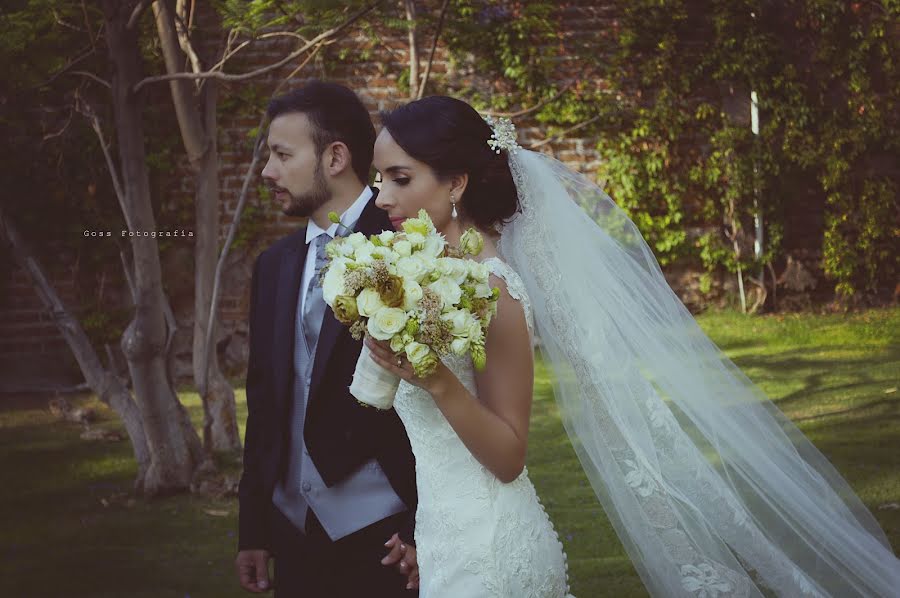 Fotógrafo de casamento Grecia Goss (gossfotografia). Foto de 13 de outubro 2016