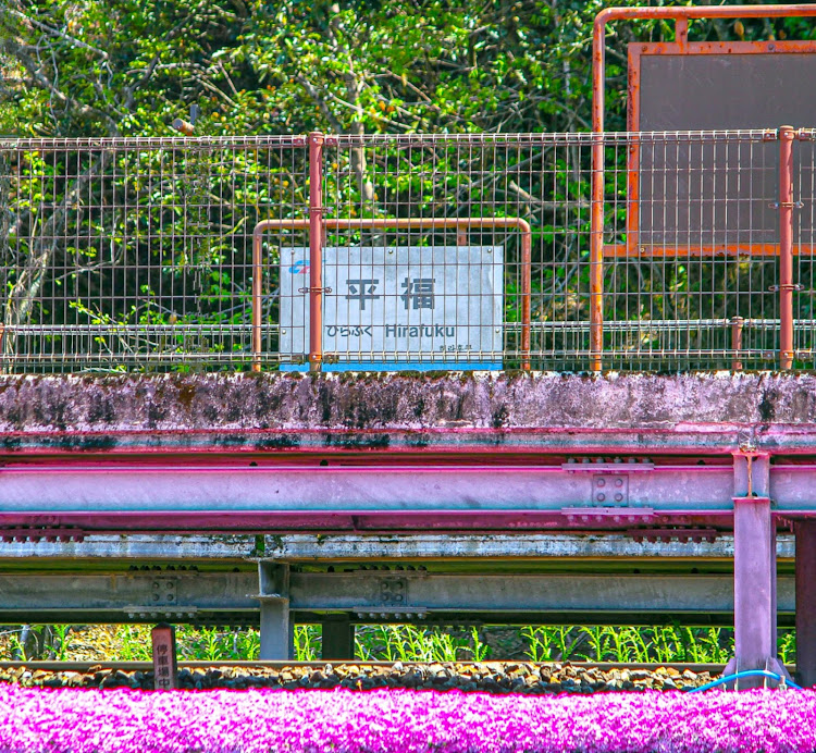 Nボックスカスタムの智頭線　スーパーはくと　スーパーいなば・宇宙のアートウォール・平福駅の芝桜・宮本武蔵　武道館・トラクターとコラボに関するカスタム事例の投稿画像8枚目
