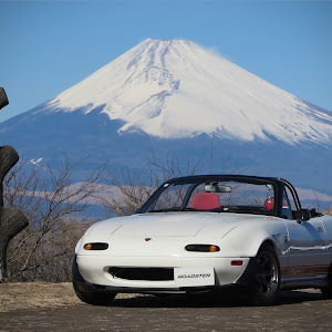 ロードスター NA8C
