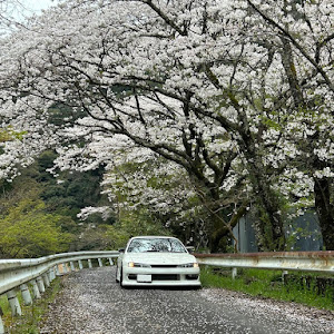 シルビア S14 後期