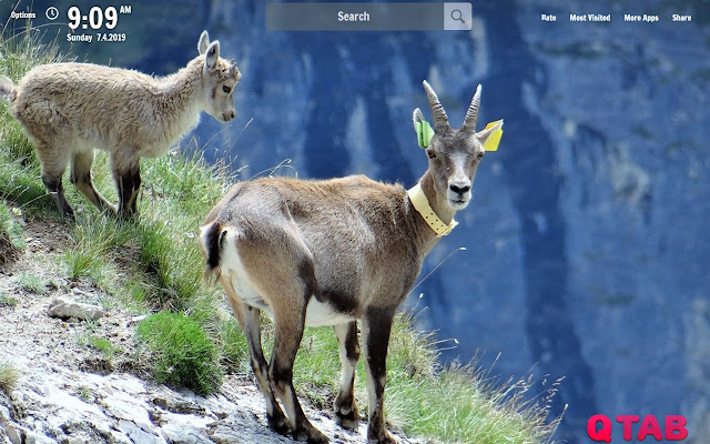 Ibex New Tab Ibex Wallpapers