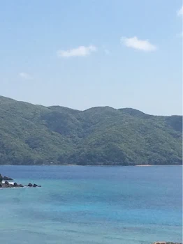 素直  5