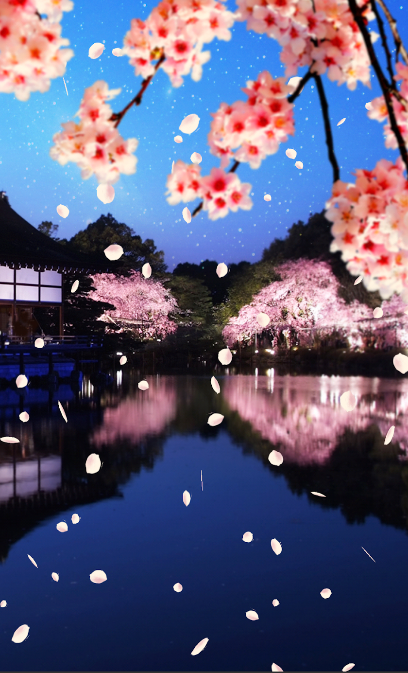 Cherry blossoms HD 2 Screen 3