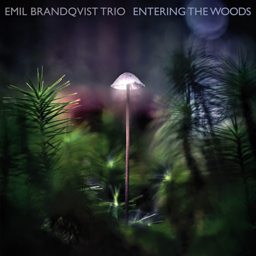Raindrops - YouTube Music