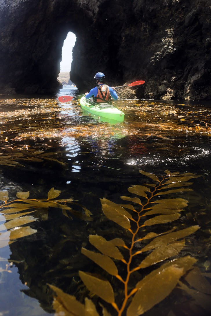 Kayaking Channel Islands National Park.