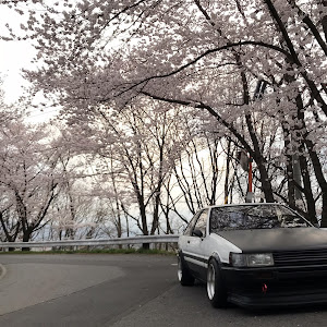 カローラレビン AE86