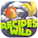 Recipes of the Wild icon