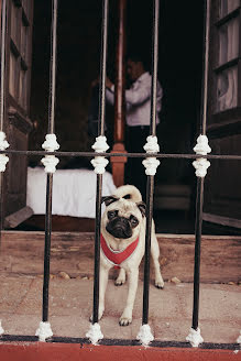 Wedding photographer Olga Koroleva (olgakoroleva). Photo of 24 January 2022