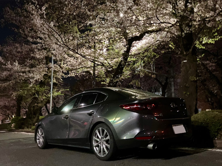 MAZDA3のサクラと愛車に関するカスタム事例の投稿画像2枚目