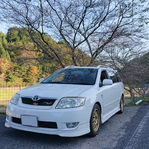 カローラフィールダー ZZE123G
